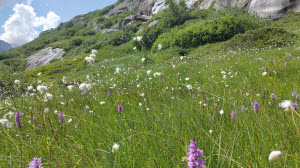 Gletscherwyb 2025 - Sunnig Aar
